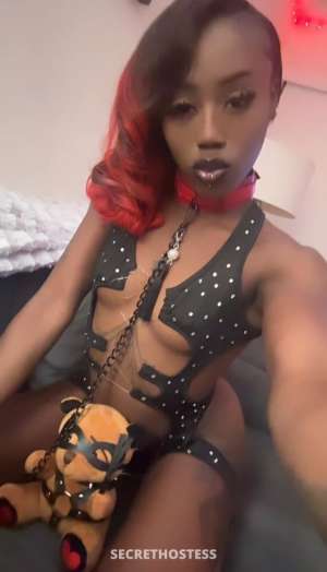 Fantasy 21Yrs Old Escort Image - 1