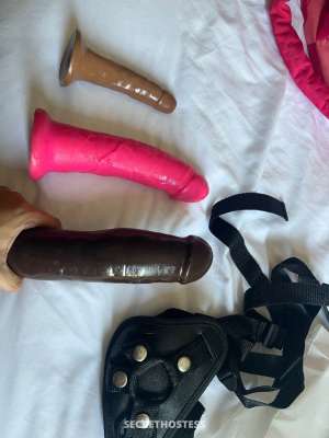 Mariah 24Yrs Old Escort Washington DC Image - 6