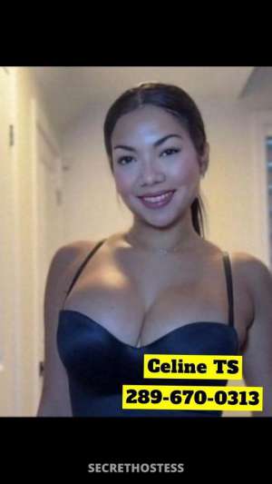 Celine 31Yrs Old Escort Kitchener Image - 1