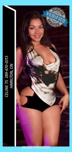 Celine 31Yrs Old Escort Kitchener Image - 8