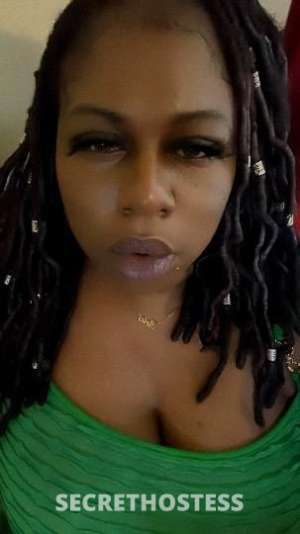 Sugaa 34Yrs Old Escort Image - 9