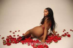 25Yrs Old Escort Image - 0