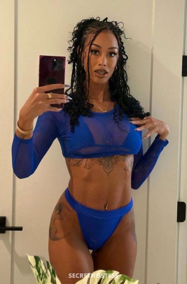 Shelly 28Yrs Old Escort Cornwall Image - 0