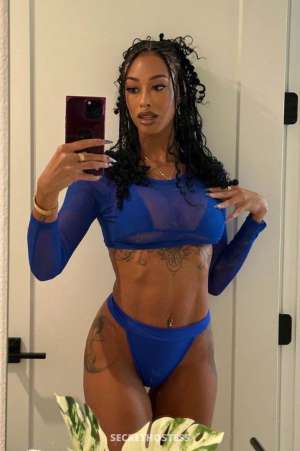 Shelly 28Yrs Old Escort Cornwall Image - 1