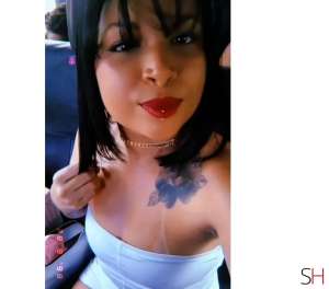 24 year old White Escort in Maceio Alagoas 24Yrs Old White Escort Alagoas