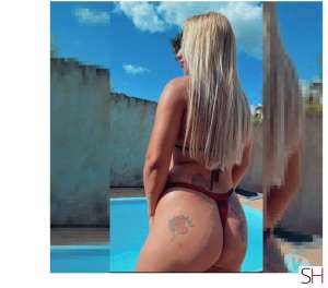 26 year old White Escort in Chapadao Do Sul Mato Grosso do Sul 26Yrs Old White Escort Mato Grosso do Sul