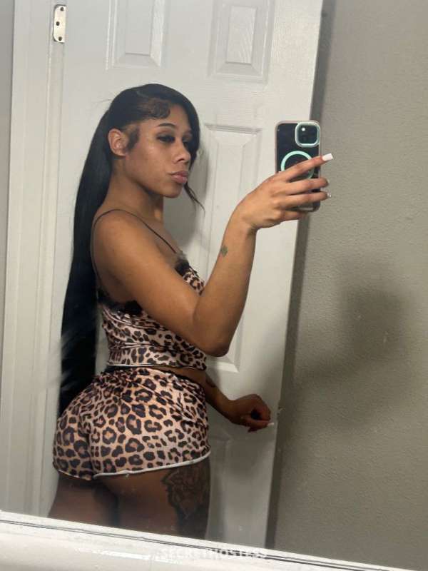Kardier 23Yrs Old Escort Williamsport PA Image - 1
