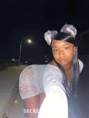 Amara 26Yrs Old Escort Image - 1