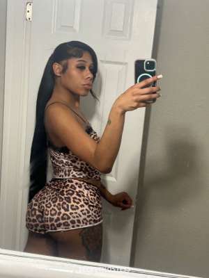 Kardier 23Yrs Old Escort Williamsport PA Image - 1
