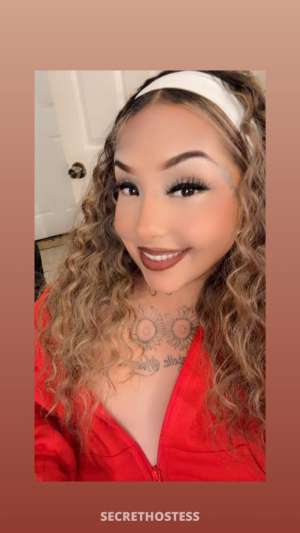 25 year old Escort in San Antonio TX THICK &amp; SEXY