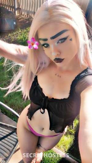 23 year old Escort in Mackay Need company x im who you need, Mackay