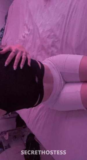 Ruby 26Yrs Old Escort Sunshine Coast Image - 2