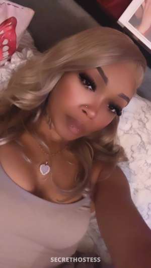 Nini 23Yrs Old Escort Binghamton NY Image - 0