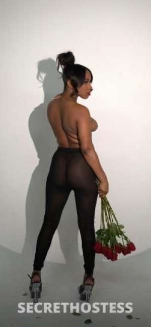 Reign 24Yrs Old Escort Olympia WA Image - 3