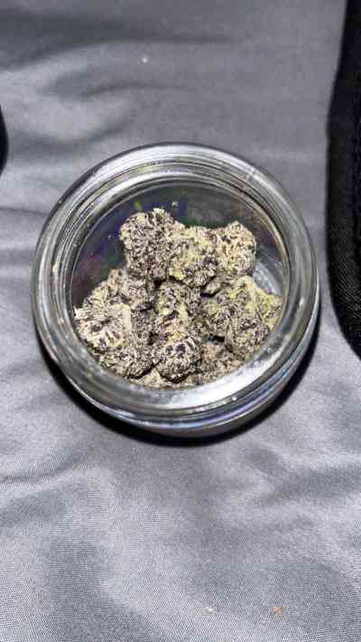 24Yrs Old Escort Sunshine Coast Image - 7