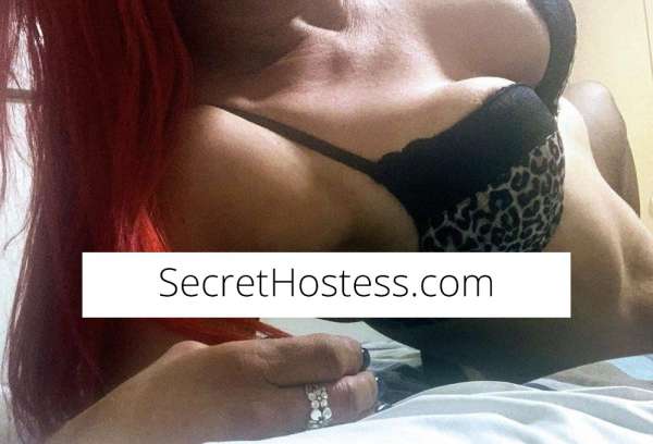 39Yrs Old Escort Size 8 Adelaide Image - 5