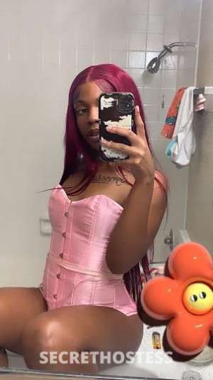 Paradise 23Yrs Old Escort Image - 0