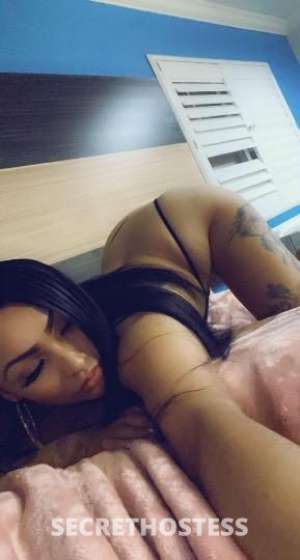 Spicy 26Yrs Old Escort Image - 6