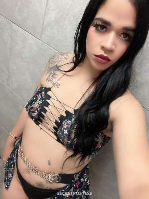 25Yrs Old Escort Tampa FL Image - 2
