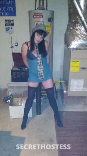 Krystal 43Yrs Old Escort Image - 9