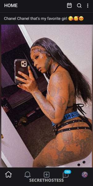 Poison 26Yrs Old Escort 160CM Tall Memphis TN Image - 6
