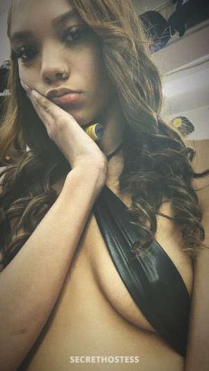 DREAM 23Yrs Old Escort Image - 2