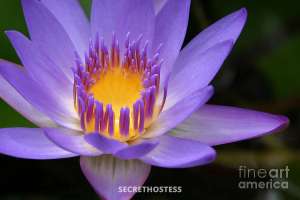 47Yrs Old Escort Cairns Image - 3