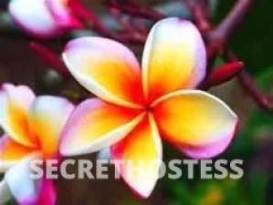 47Yrs Old Escort Cairns Image - 5