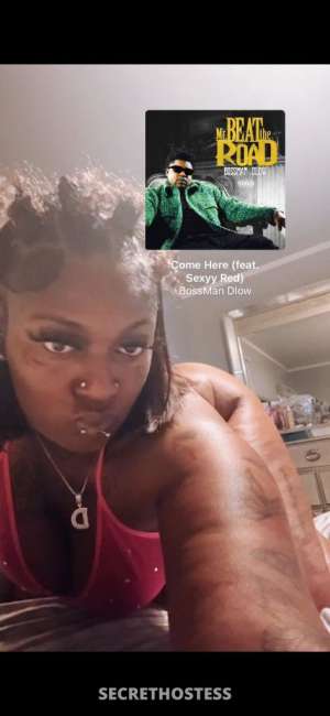 Chocolate 26Yrs Old Escort Raleigh NC Image - 2