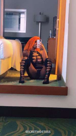 Onyx 27Yrs Old Escort Image - 3