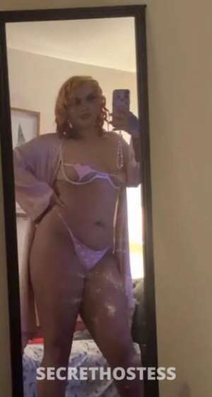 Samisunami 21Yrs Old Escort Reno NV Image - 5
