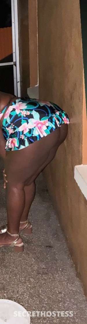 21Yrs Old Escort Sarasota FL Image - 2
