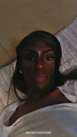 Goldenn 24Yrs Old Escort Pensacola FL Image - 5