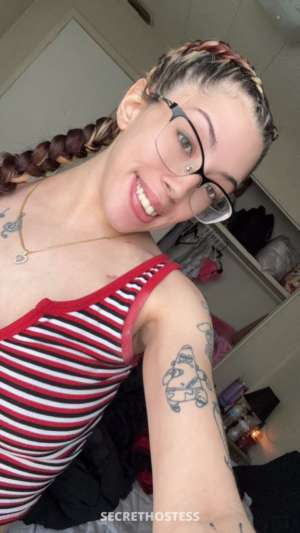 Tiny 25Yrs Old Escort Tampa FL Image - 4