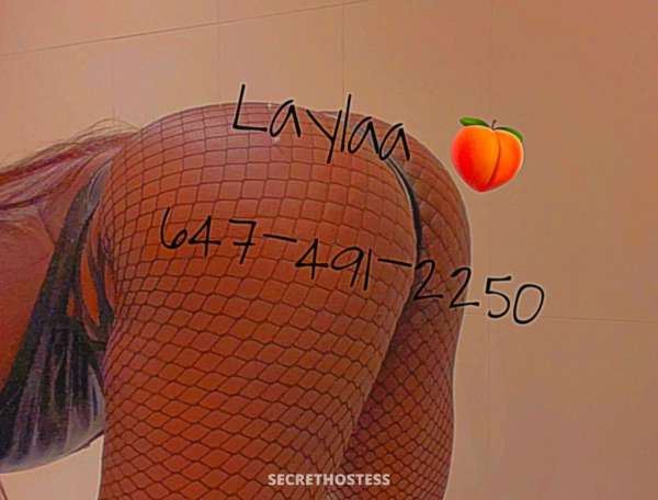 Layla 25Yrs Old Escort Toronto Image - 0