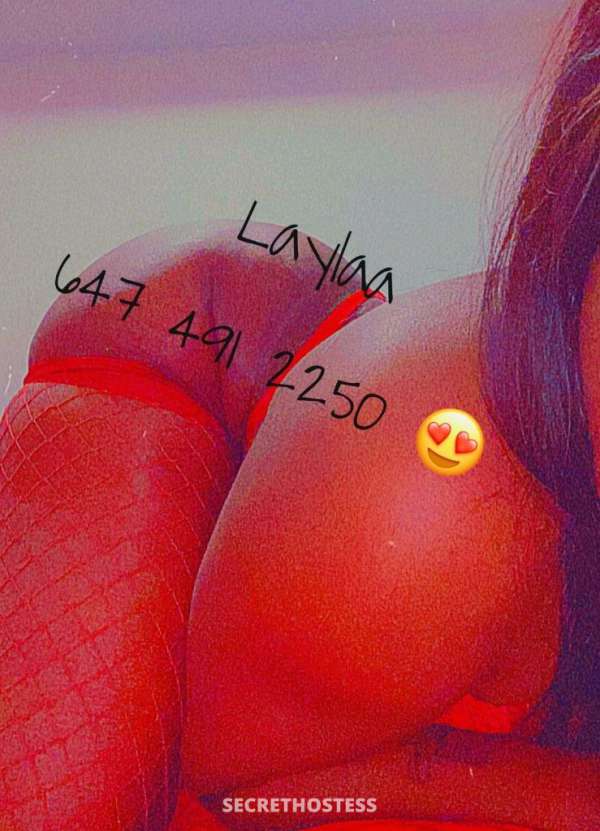 Layla 25Yrs Old Escort Toronto Image - 2