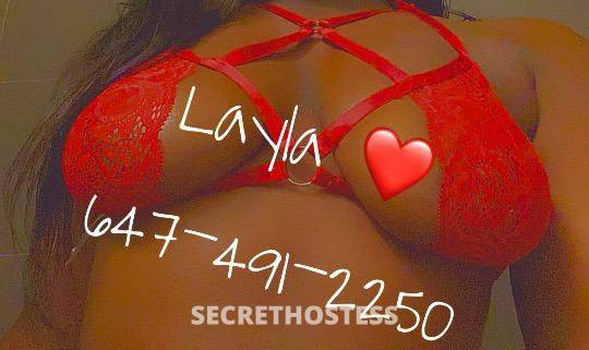Layla 25Yrs Old Escort Toronto Image - 5