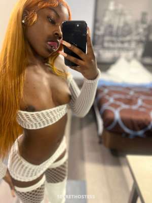 22Yrs Old Escort Brooklyn NY Image - 4