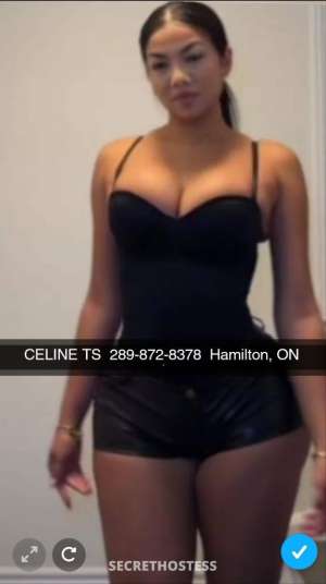 CelineTS 31Yrs Old Escort Niagara Image - 5