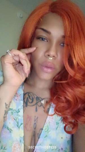 28Yrs Old Escort 172CM Tall Killeen TX Image - 1