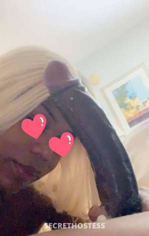 25 year old Escort in Scarborough Alexis - Back by Demand