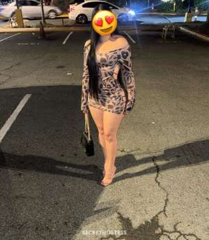 25 year old Escort in Elko NV 💋🌼🌹💦💦💦New in the area girl available only 