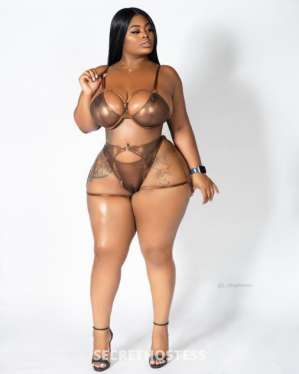 25Yrs Old Escort Sarasota / Bradenton FL Image - 0