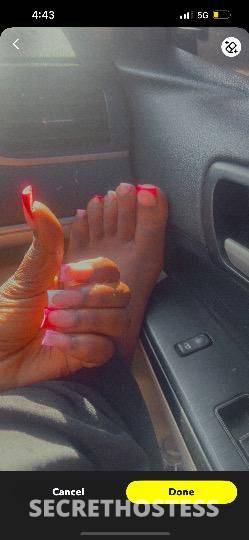 Maria 25Yrs Old Escort Visalia CA Image - 4