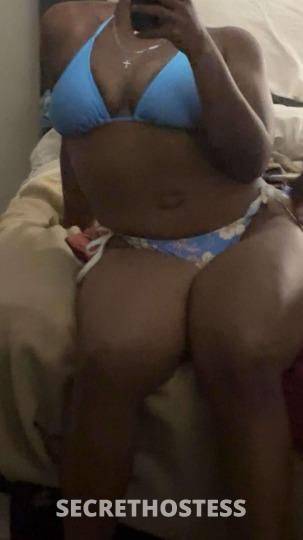 nat 20Yrs Old Escort Orlando FL Image - 1