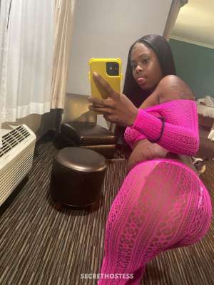 19 year old Escort in San Diego CA Tired of the usual Let me be your secret adventure
