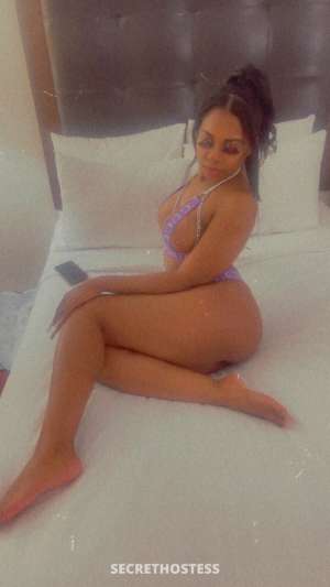 Phoebe 26Yrs Old Escort Denver CO Image - 1