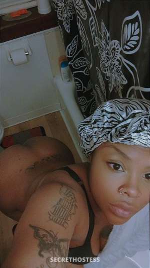 Tampaa 23Yrs Old Escort Image - 0