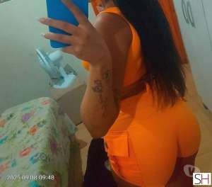 23Yrs Old Escort Pernambuco Image - 2
