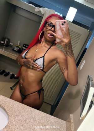27 year old Escort in San Diego CA ✨ cum over